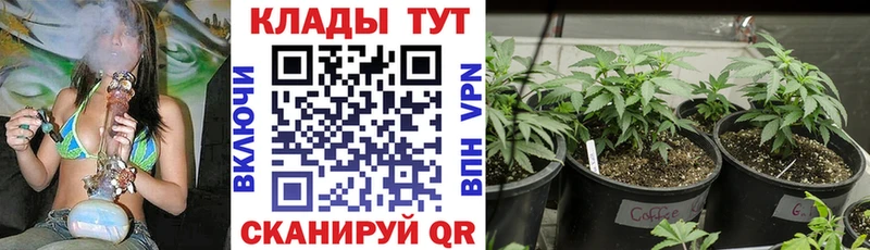 Купить Галлюциногенные грибы  ТГК  COCAIN  МЕФ  Всеволожск