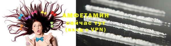 прущие грибы Богородицк