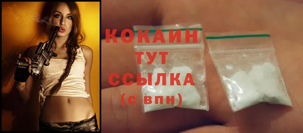 прущие грибы Богородицк