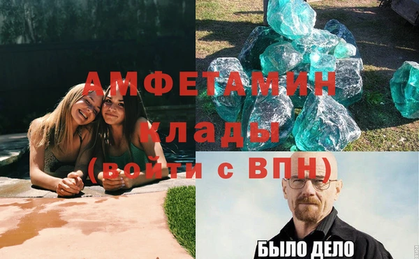 прущие грибы Богородицк